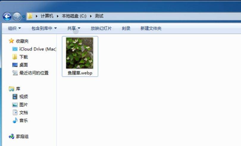 查看webp格式图片